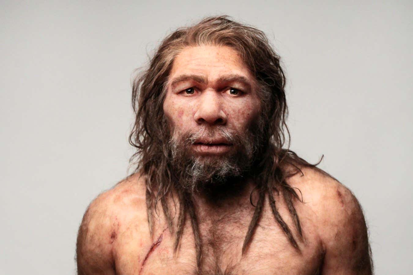 Are Neanderthals descendants of modern humans?