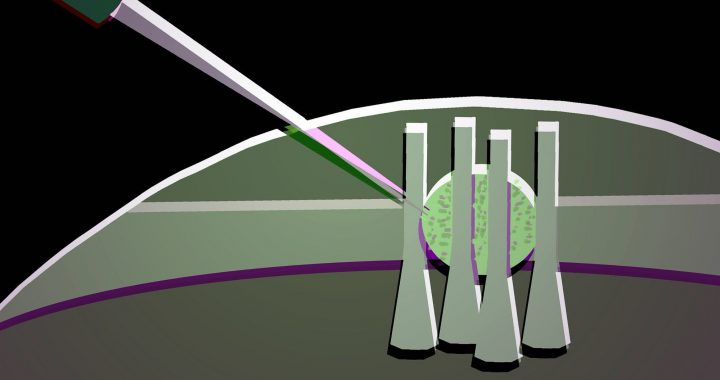 Squishy Photonic Switches Promise Fast Low Power Logic
